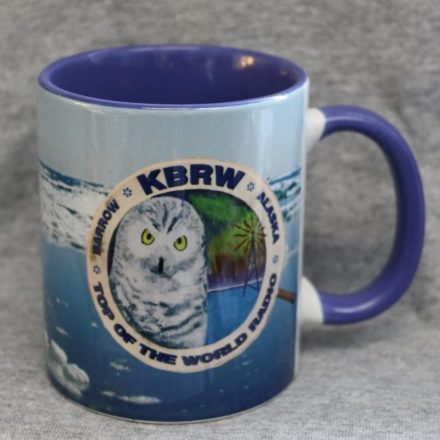 Snowy Owl mug