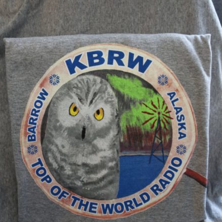 Snowy Owl t-shirt
