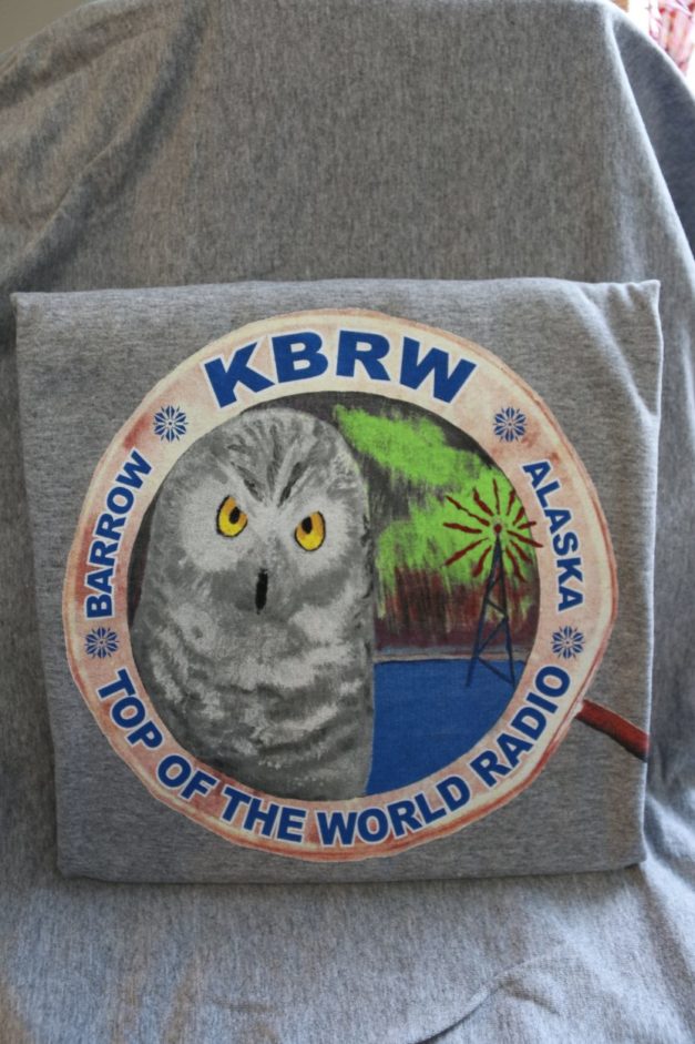 Snowy Owl t-shirt