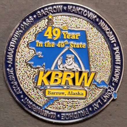 49th Year Lapel Pin