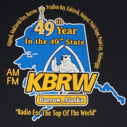 49th Year in the 49th State T-shirt