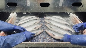 Almost 1 in 4 Alaska workers doesn’t live in the state, new report concludes