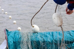 Alaska News Nightly: Friday, February 6, 2026