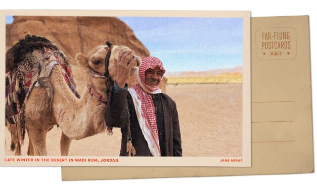 Greetings from Jordan’s Wadi Rum desert, where patches of green emerge after winter rains