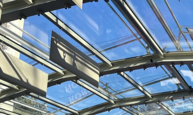 Reporter’s notebook: My Olympic Lunar New Year