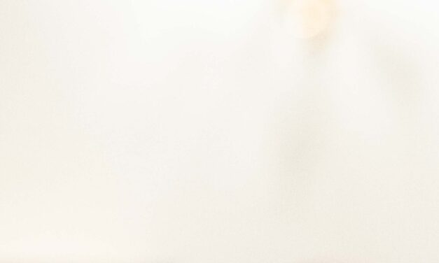 House panel finds Florida Democrat guilty of ethics violations