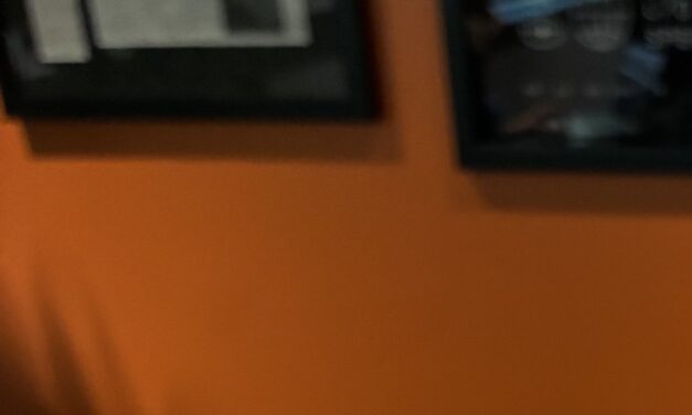 Colossal Biosciences breeds controversy while trying to revive mammoths