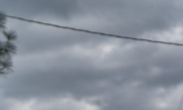 At the Legacy Museum, facing America’s racist past is a path, not a punishment