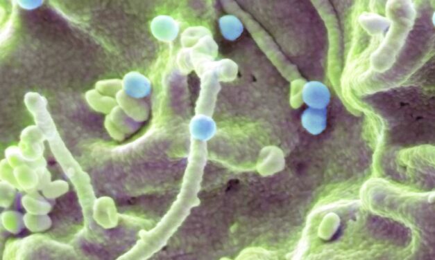 A new one-a-day-pill holds promise for HIV’s ‘forgotten population’