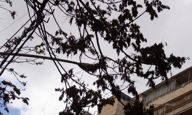 Born in south Lebanon, displaced to Beirut, two grandmothers reflect on Israeli invasions