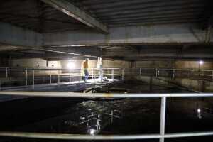 Officials are still looking for a solution after Juneau rejected PFAS-contaminated poop from Gustavus