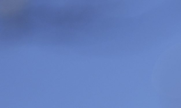 Immigration board denies Mahmoud Khalil’s appeal