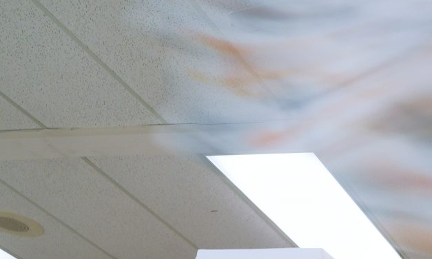 Democrats keep doing better in elections since Trump returned to office