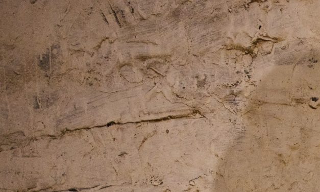 Trump to address nation after saying U.S. may leave war within weeks