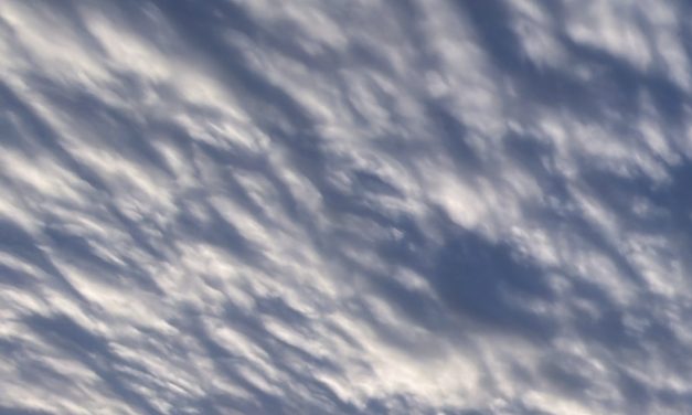 U.S. seizes Iranian cargo ship. And, tariff refund portal launches