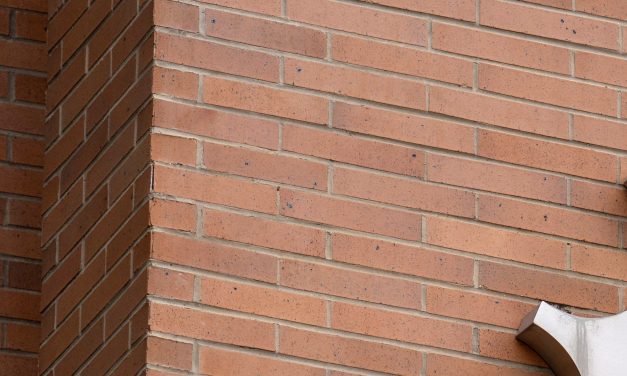 Scientists see Trump’s firing of the National Science Board as an attack on research