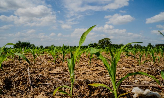 The rising cost of fertilizer and fuel prices is pushing some farmers to the brink
