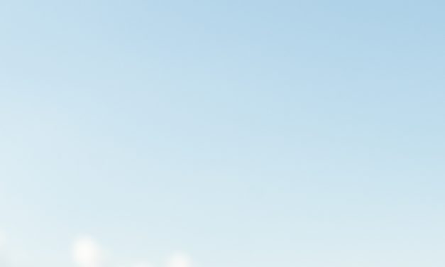 In the brain, objects seen and imagined follow the same neural path