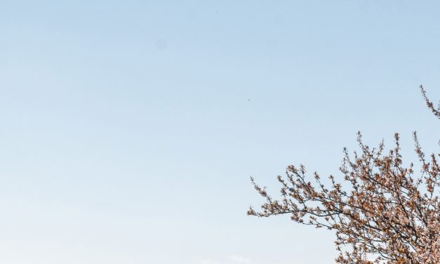 RFK Jr. wants to treat addiction by creating wellness farms. Does it work?