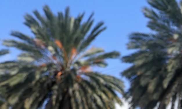 The labor market springs back to life in March as employers add 178,000 jobs