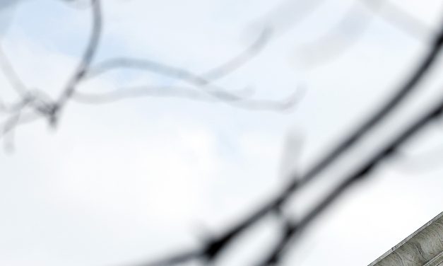 Supreme Court calls Louisiana’s House map an ‘unconstitutional racial gerrymander’