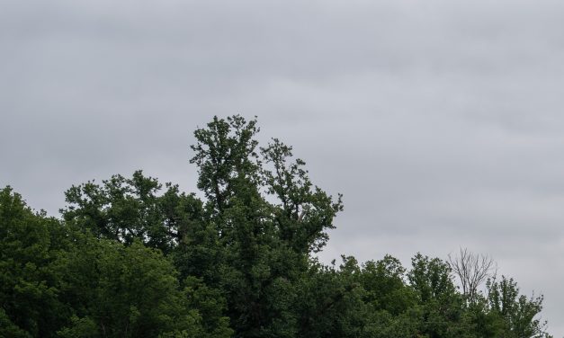 Trump’s ‘American flag blue’ reflecting pool project gets a mixed reaction in D.C.