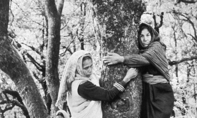 From the Himalayas to Newt Gingrich, the ‘tree-huggers’ prevail