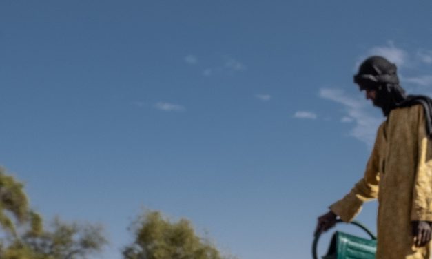 Opinion: A well-deserved statue for a hero rat