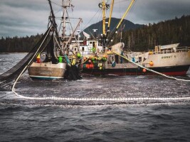 USDA’s new seafood office labels fishermen as farmers of the sea