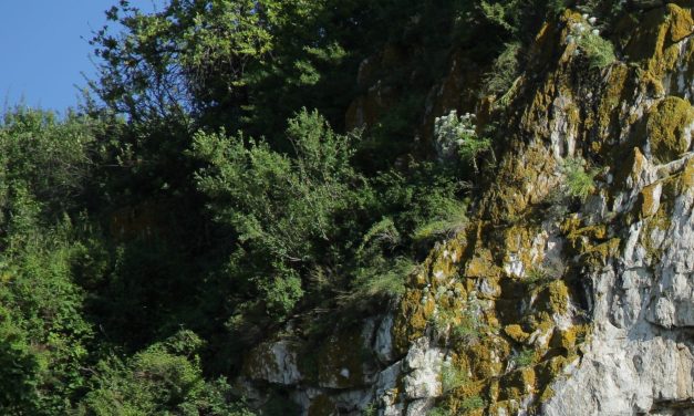 Neanderthals may have drilled out a cavity 59,000 years ago
