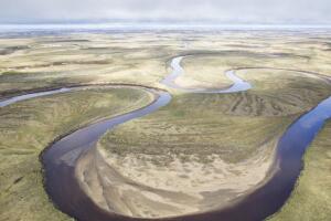Oil industry has an idea to speed permitting on western Arctic leases. BLM likes it.