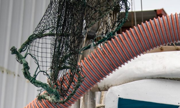 Gulf shrimpers want help from congress as fuel costs climb