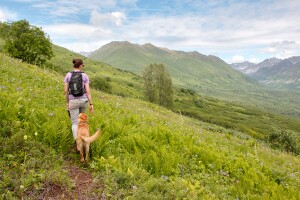 Summer outside in Mat-Su| Outdoor Explorer