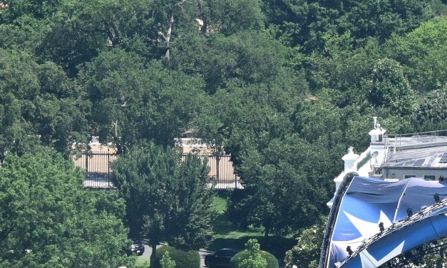 Trump’s UFC fights bring historic spectacle to White House