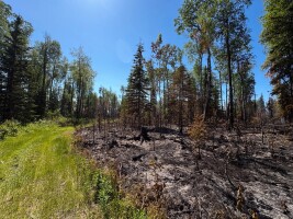 State reports Sterling wildfire is 90% contained