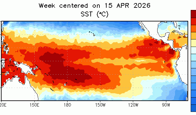 Yes, Alaska, we’re already in an El Niño, but it’s likely to get stronger