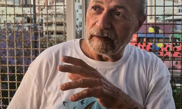 An Israeli paraglider tries to save migrating swifts that nest in the Western Wall