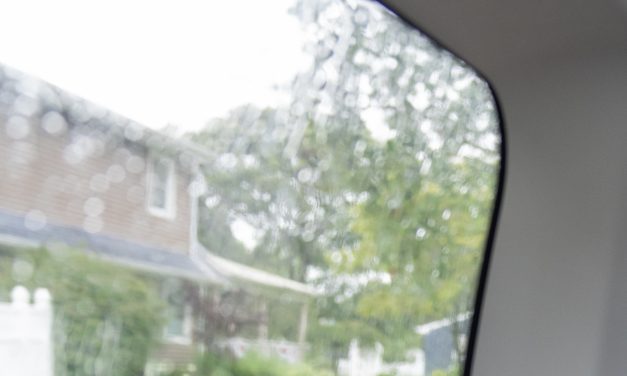 Disabled adults learn and work in their communities. That right is under threat