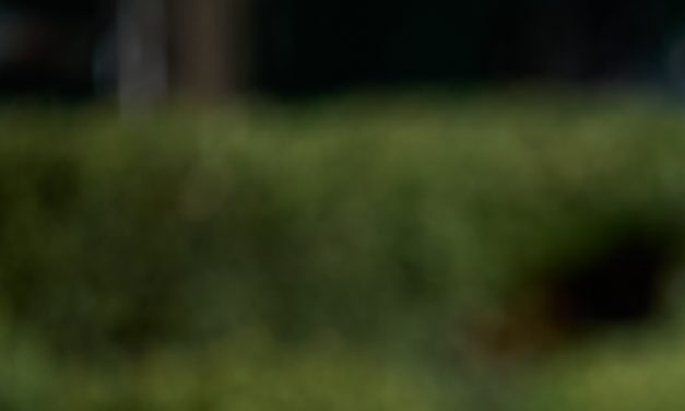 Treasury Secretary Scott Bessent to unveil new economic sanctions on Iran
