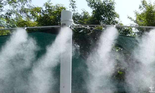 Scientists say August was Earth’s hottest month they’ve measured