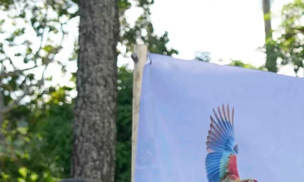 Venezuela’s opposition leader María Corina Machado returns after months in exile