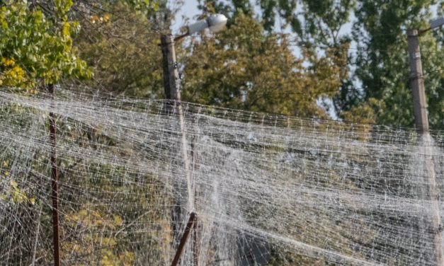 Drones buzz overhead, troops hunker underground in Ukraine’s hellish Kill Zone